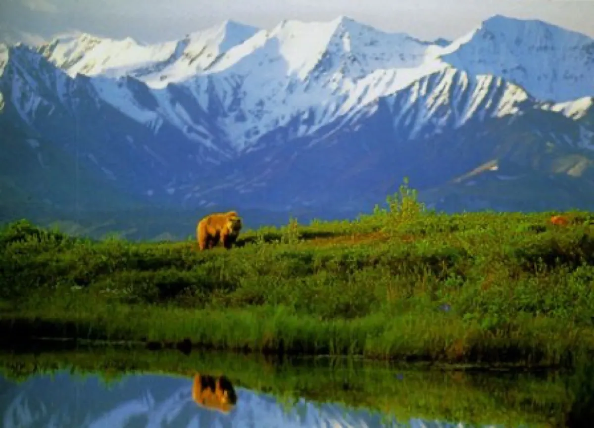 Aramark Destinations Denali Park Village